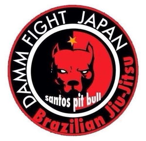 Damm Fight Japan
