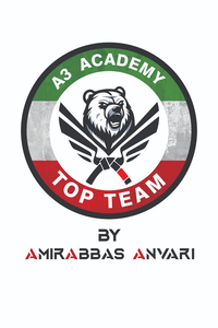 A3 Academy