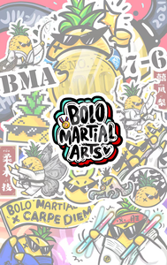 Bolo Martial Arts