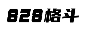 Luoyang 828 Fight Gym