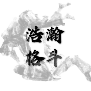 Vast Bjj