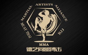Martial Artist Alliance