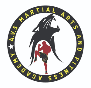 Avs Martial Arts And Fitness Academy