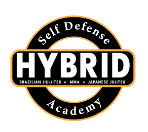 Hybrid Self Defense Academy