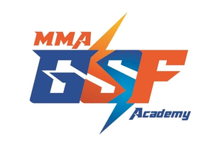 Gsf Academy