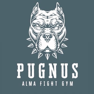 Alma Fight Gym Pugnus